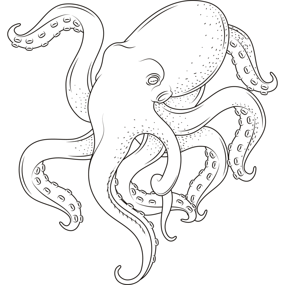 Leucate sanctuaire marin